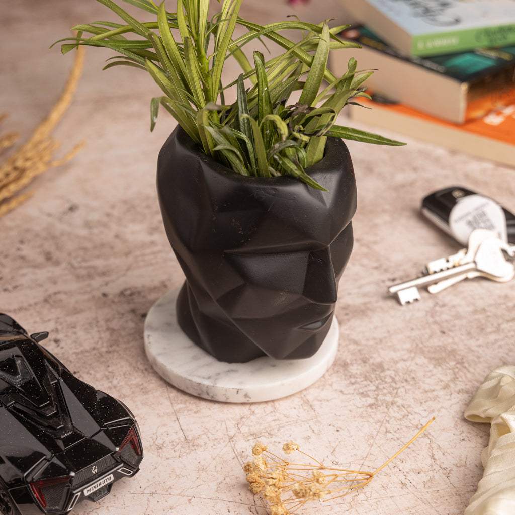 Face Design Planter with Marble Base
