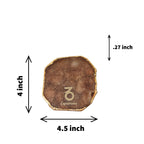 Agate Zodiac Coaster Capricorn-Brown